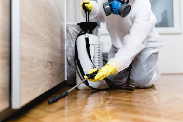 Flea Control Services in Sheridan, CA