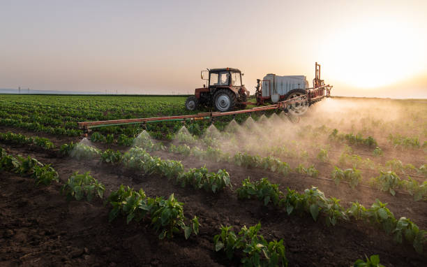 Insect Control in Sheridan, CA