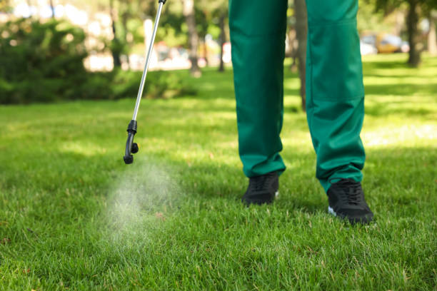 Best Exterminator Services  in Sheridan, CA