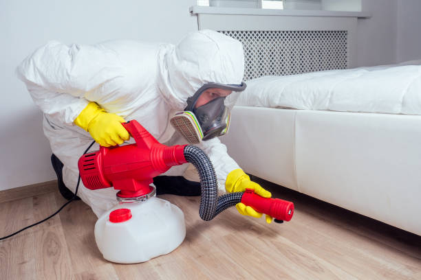 Best Emergency Pest Control  in Sheridan, CA