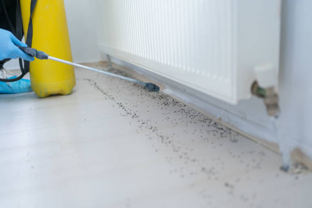 Best Pest Control Treatment  in Sheridan, CA