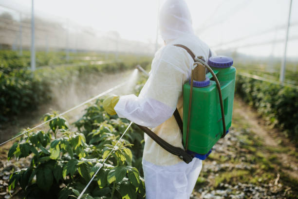 Best Best Pest Control Companies  in Sheridan, CA